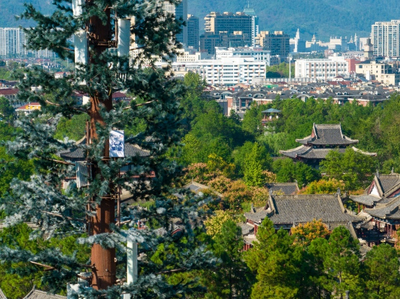 浙江电信全面建设5G-A网络，为AI时代注入新动能